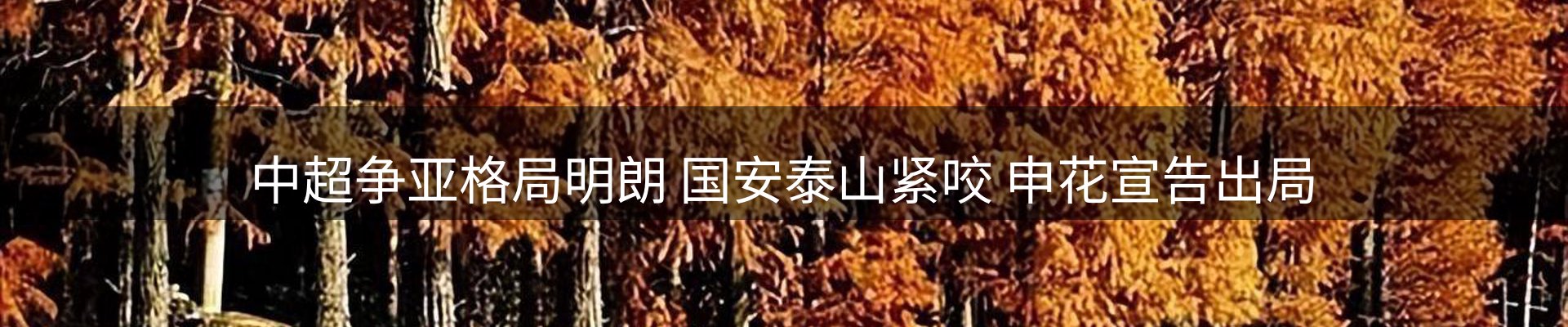 资讯动态