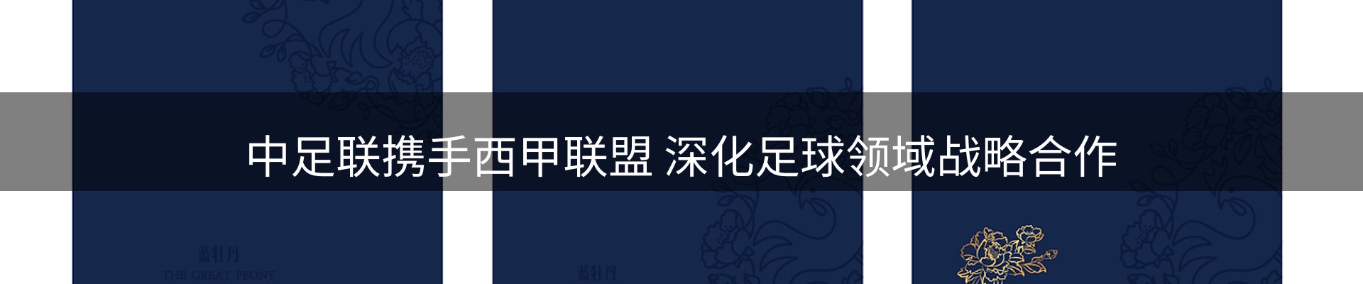资讯动态
