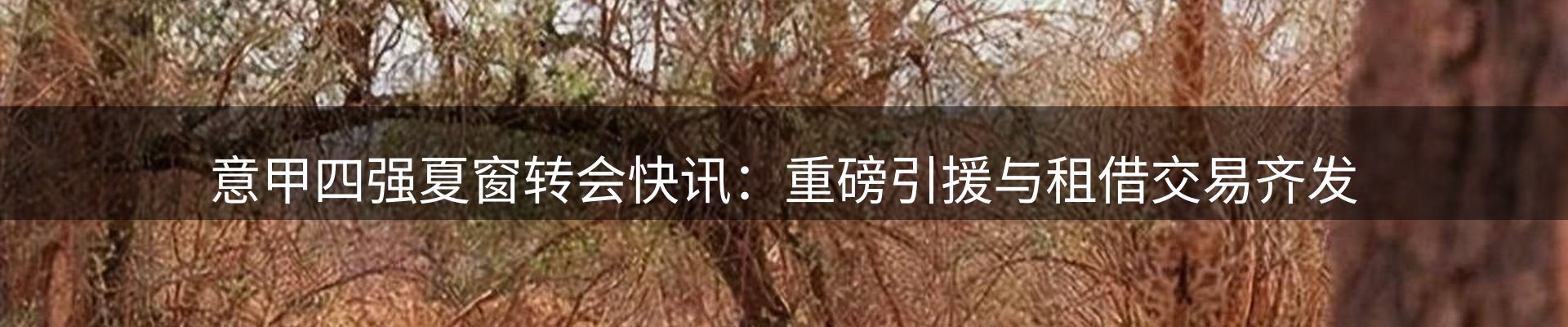 资讯动态
