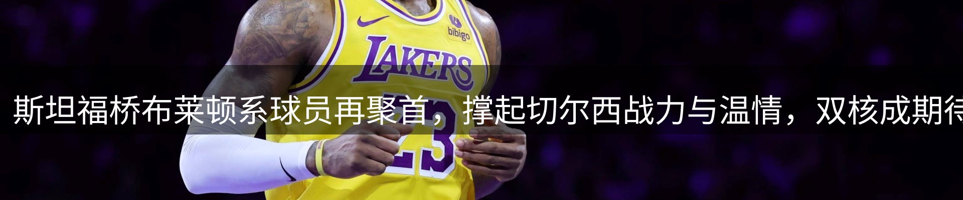 资讯动态