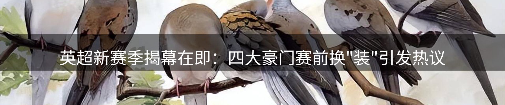 资讯动态