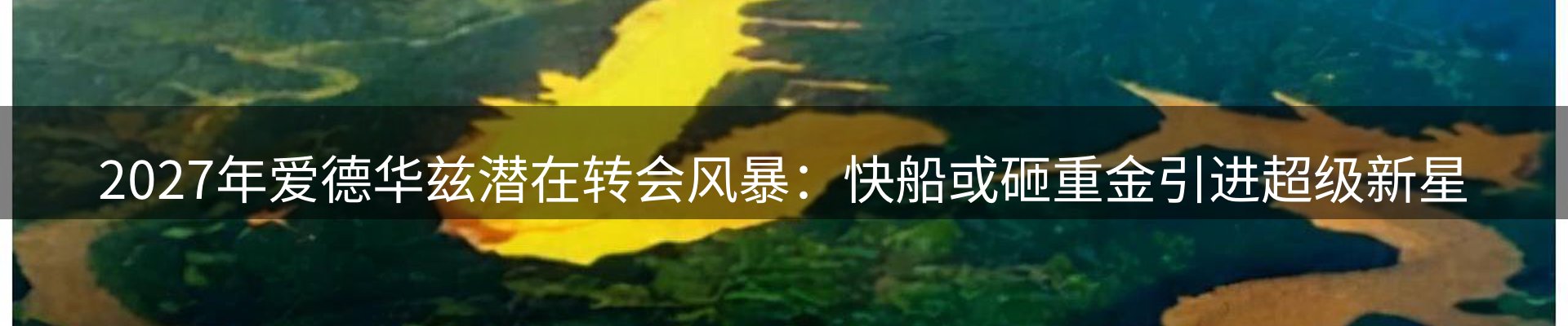 资讯动态